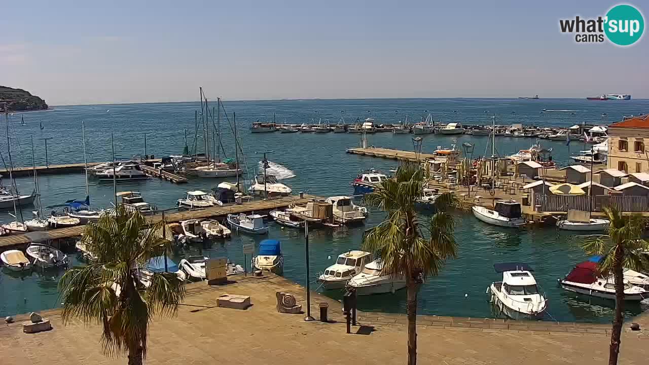 Web kamera Koper – marina i promenada – hotel Grand Koper