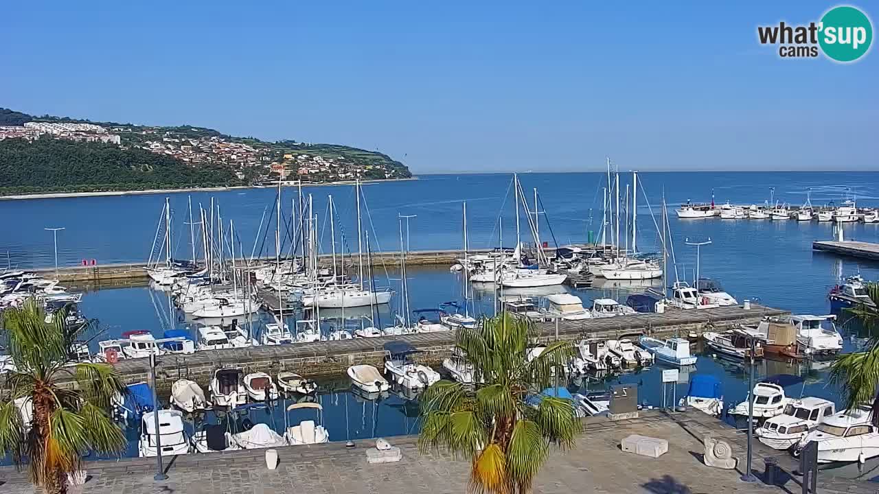 Webcam Koper – Panorama of the marina and promenade from the Grand Hotel Koper