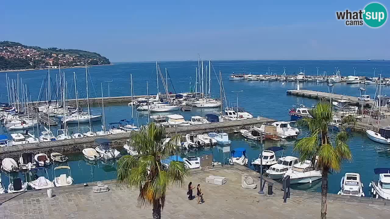 Camera en vivo Koper – puerto deportivo y paseo marítimo desde el Hotel Grand Koper