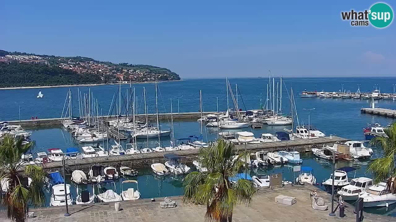 Camera en vivo Koper – puerto deportivo y paseo marítimo desde el Hotel Grand Koper