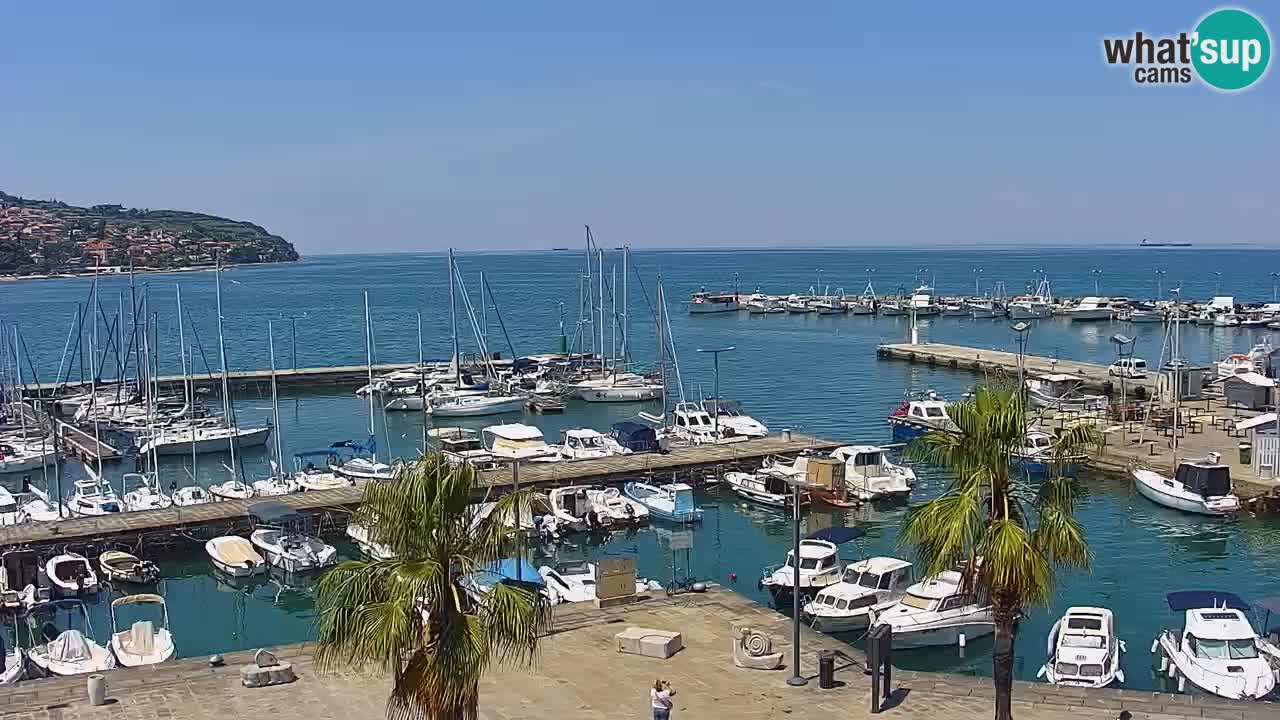 Web kamera Koper – marina i promenada – hotel Grand Koper