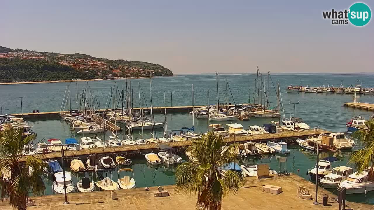 Webcam Koper – Panorama of the marina and promenade from the Grand Hotel Koper
