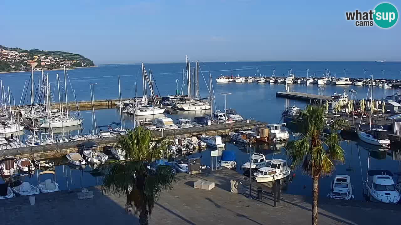 Web kamera Koper – marina i promenada – hotel Grand Koper