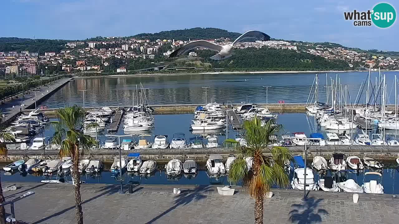 Webcam Koper – Panorama of the marina and promenade from the Grand Hotel Koper