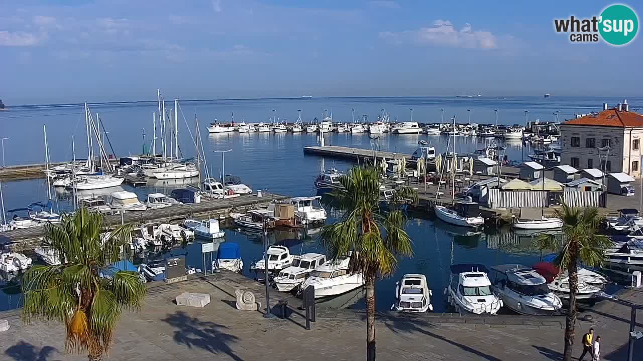 Spletna kamera Koper – Panorama na marino in promenado s Hotela Grand Koper
