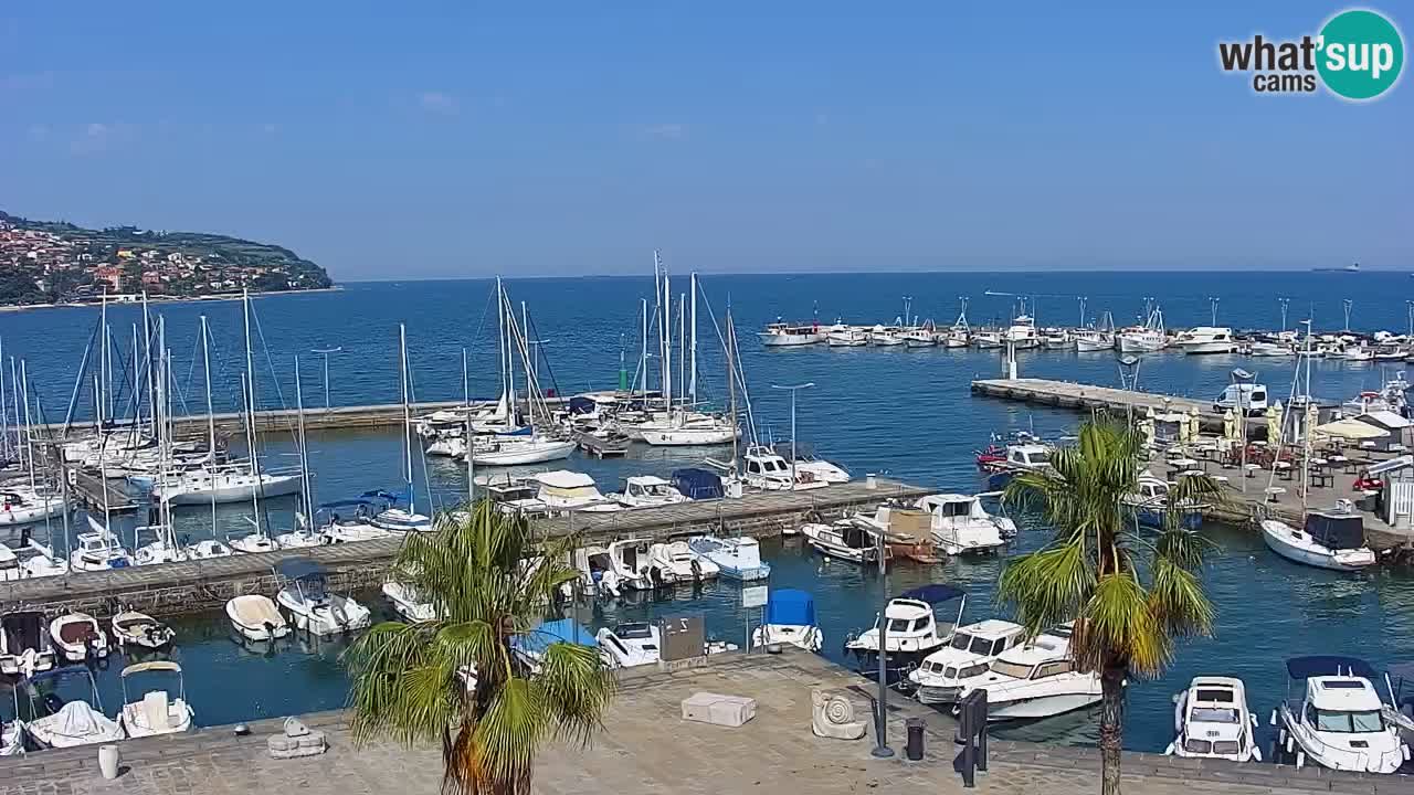 Luka Kopar uživo web kamera – Turistički terminal i teretna luka – Slovenija