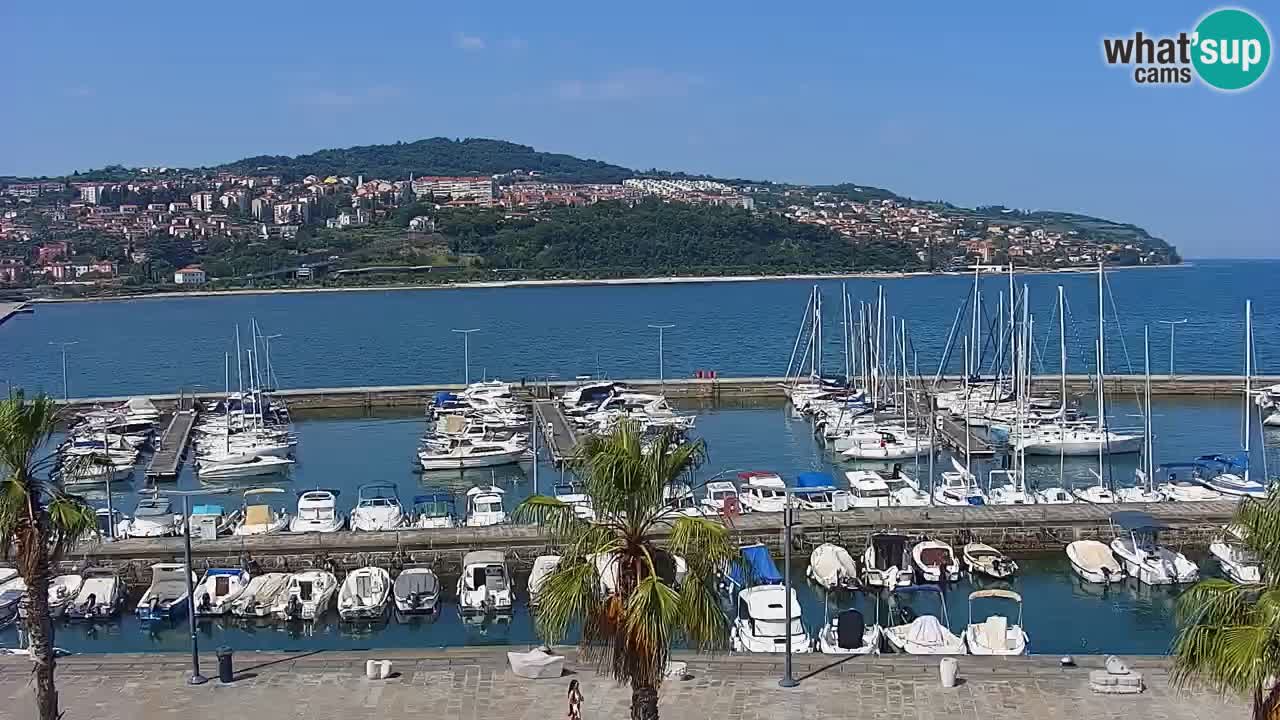 Webcam Koper – Panorama of the marina and promenade from the Grand Hotel Koper