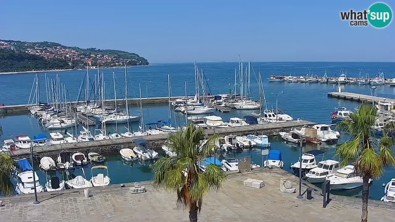 Spletna kamera Koper – Panorama na marino in promenado s Hotela Grand Koper