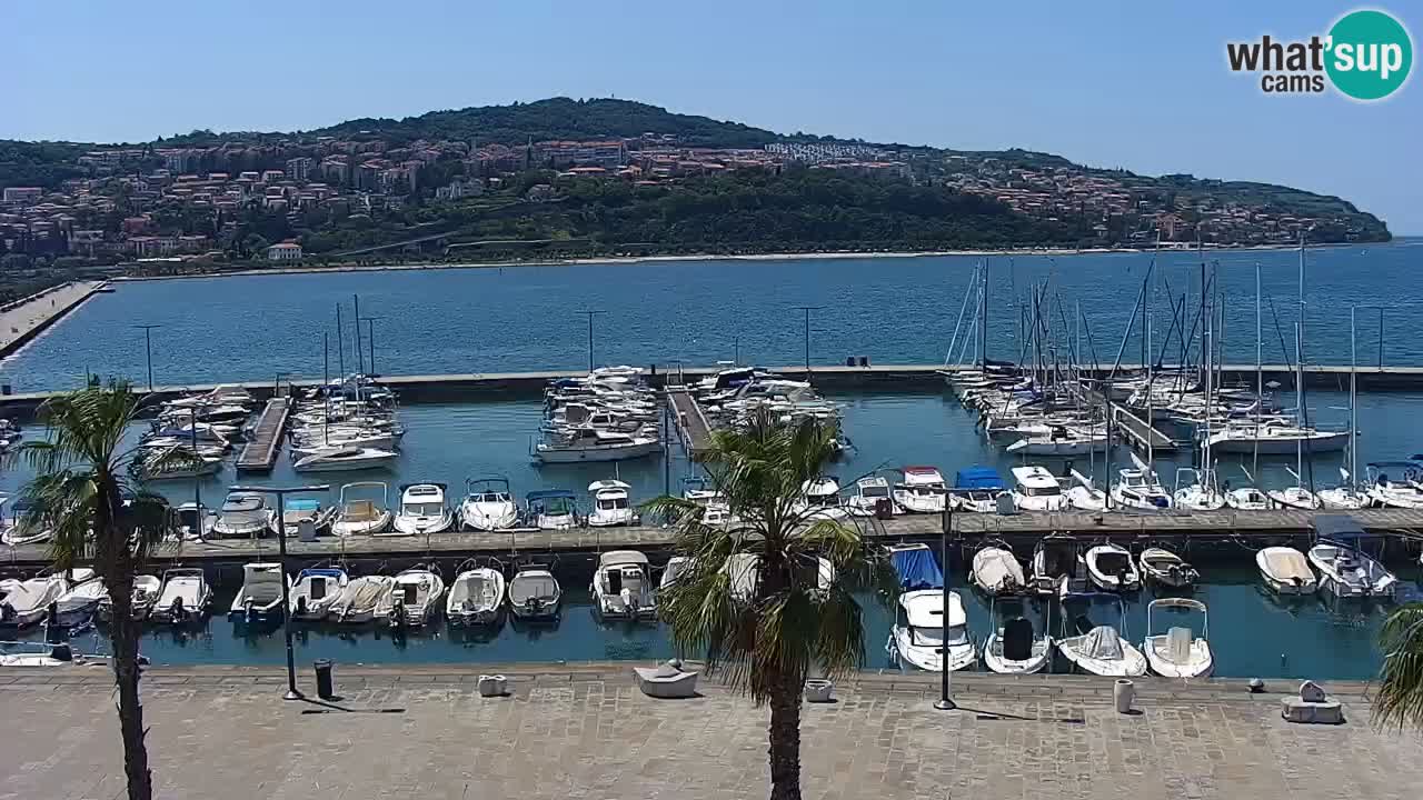 Webcam Koper – Panorama de la marina et de la promenade depuis le Grand Hotel Koper