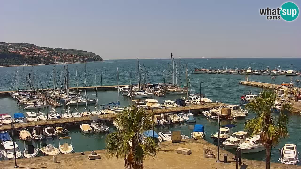 Camera en vivo Koper – puerto deportivo y paseo marítimo desde el Hotel Grand Koper