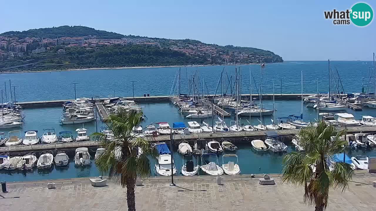 Web kamera Koper – marina i promenada – hotel Grand Koper