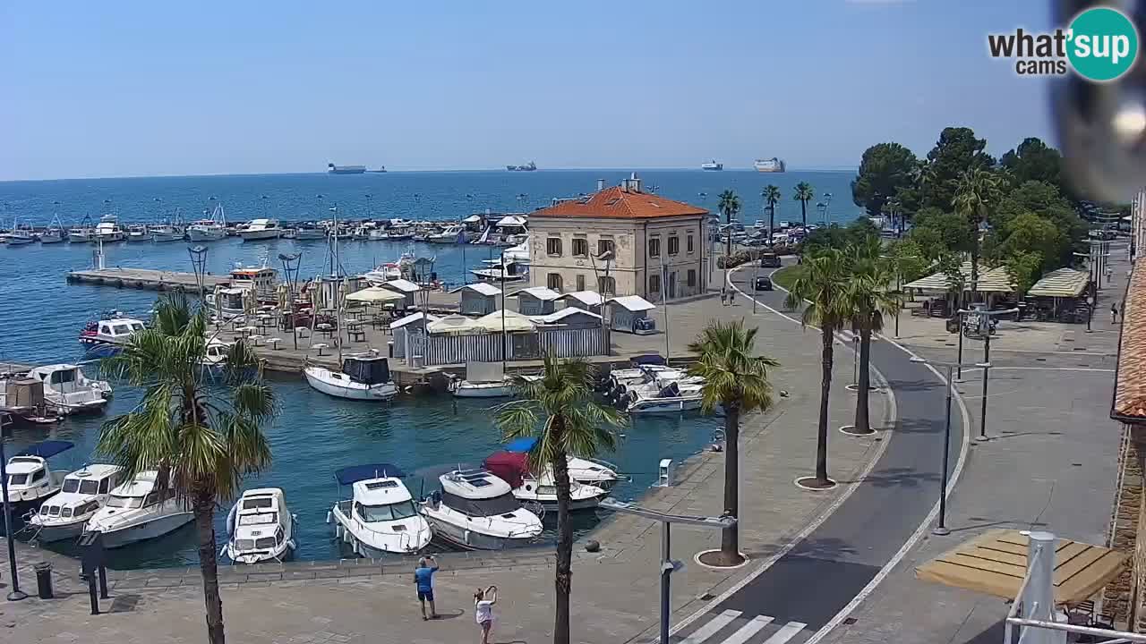 Spletna kamera Koper – Panorama na marino in promenado s Hotela Grand Koper