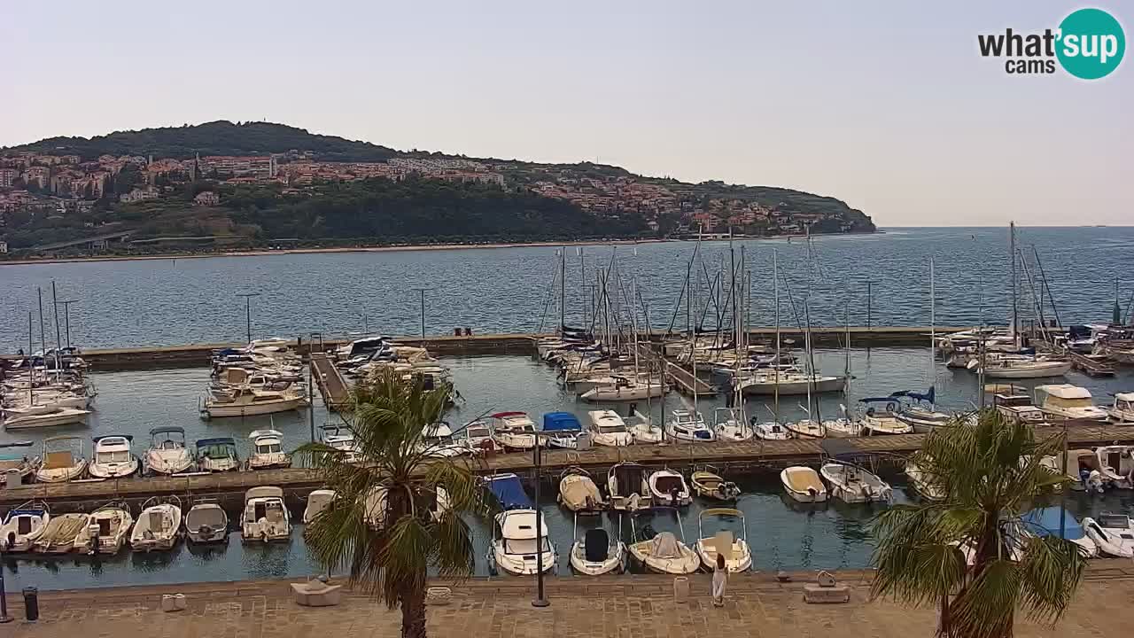 Web kamera Koper – marina i promenada – hotel Grand Koper