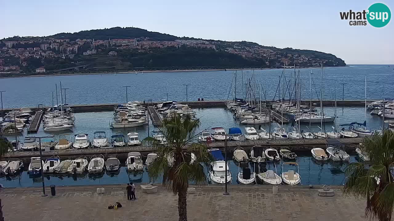 Webcam Koper – Panorama des Jachthafens und der Promenade vom Hotel Grand Koper