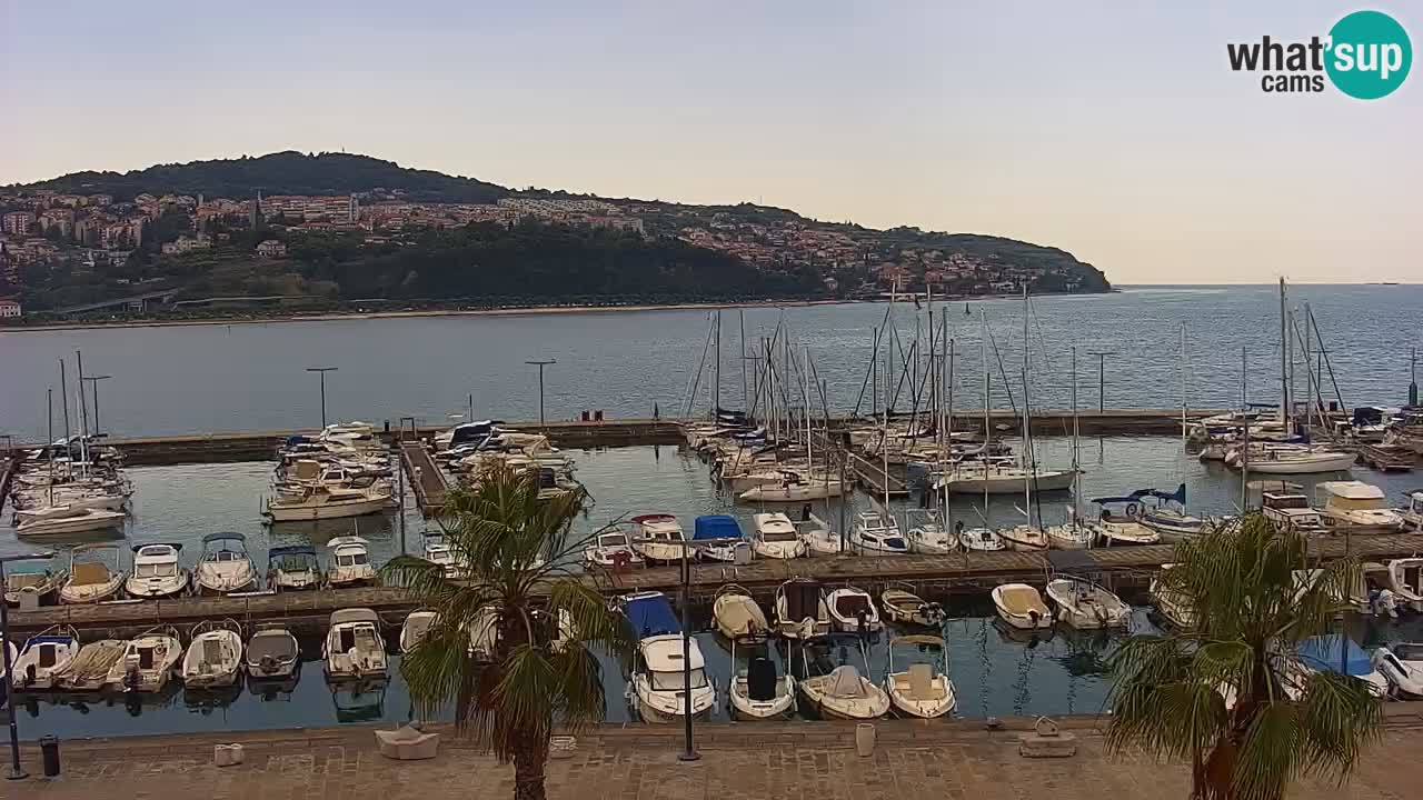 Webcam Koper – Panorama des Jachthafens und der Promenade vom Hotel Grand Koper