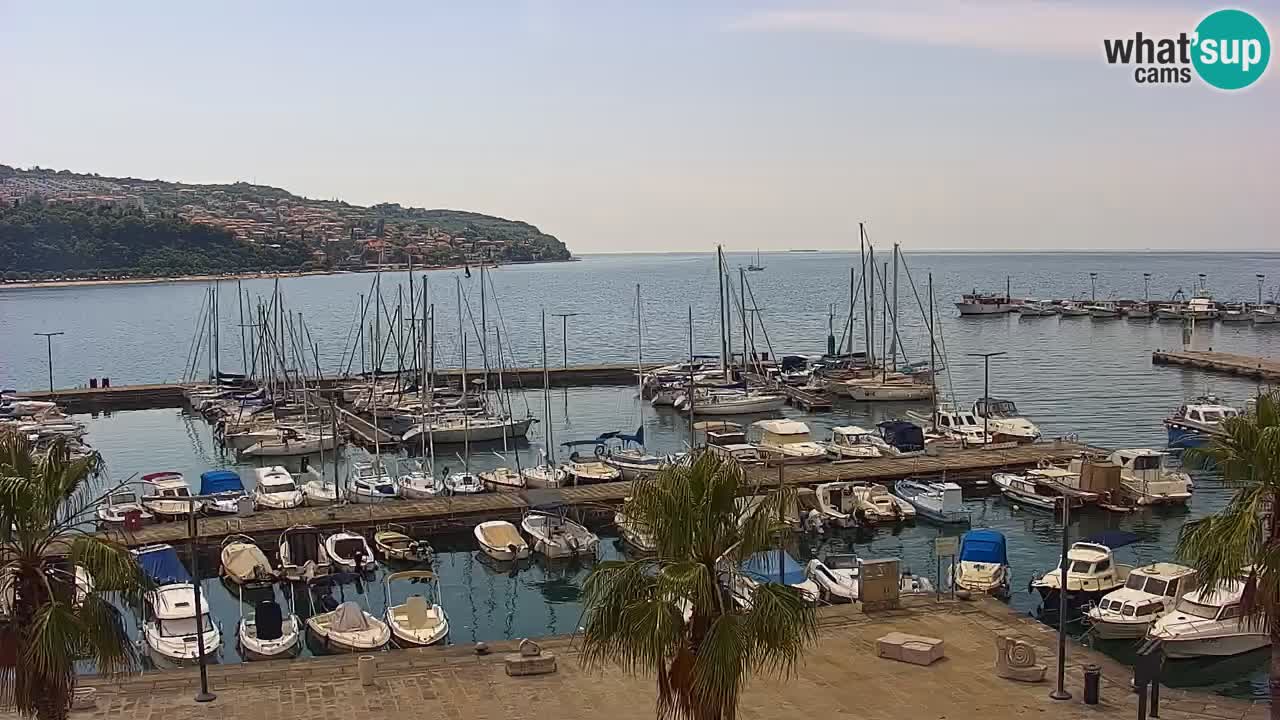 Webcam Koper – Panorama de la marina et de la promenade depuis le Grand Hotel Koper