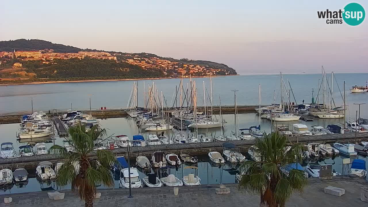 Webcam Koper – Panorama of the marina and promenade from the Grand Hotel Koper