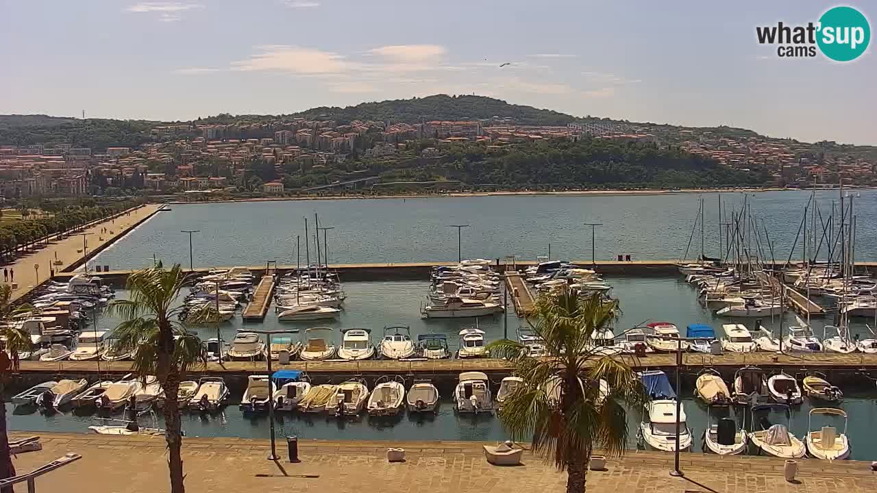 Webcam Koper – Panorama des Jachthafens und der Promenade vom Hotel Grand Koper