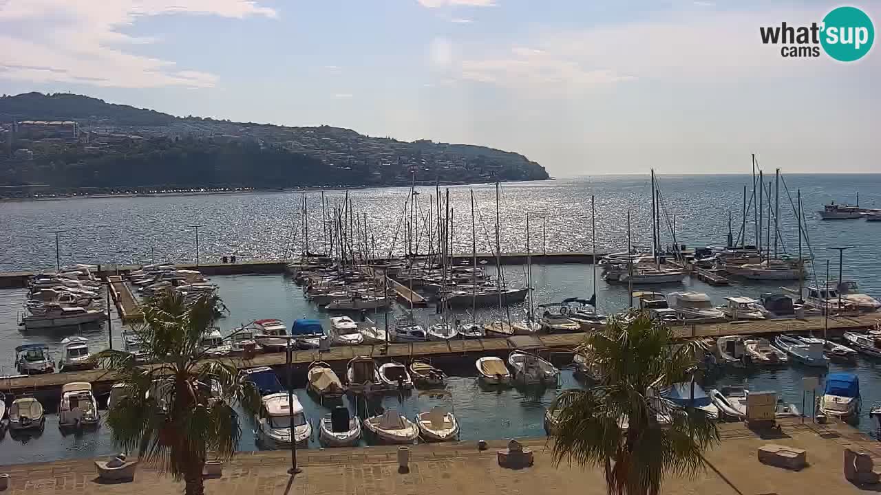 Spletna kamera Koper – Panorama na marino in promenado s Hotela Grand Koper