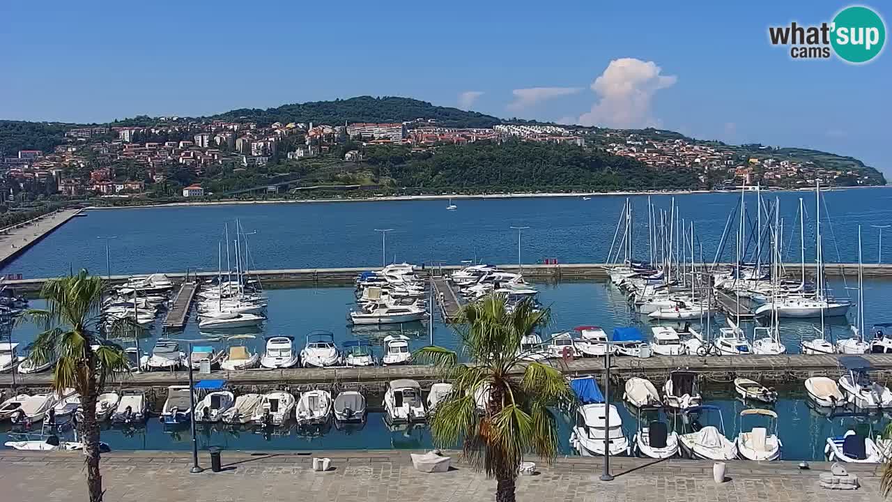 Web kamera Koper – marina i promenada – hotel Grand Koper
