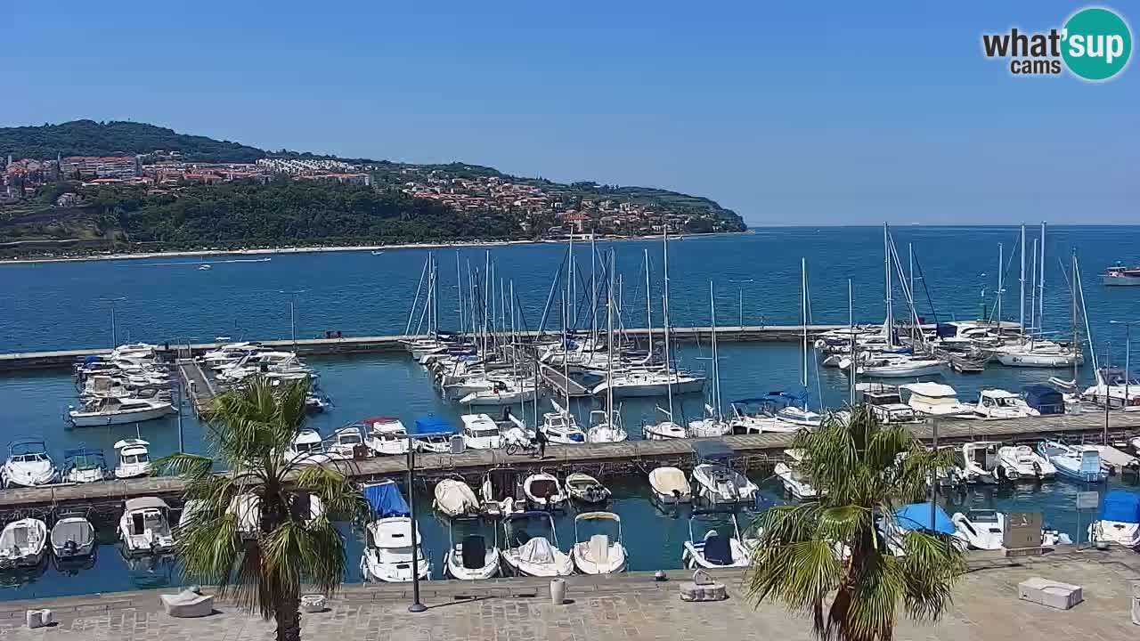 Spletna kamera Koper – Panorama na marino in promenado s Hotela Grand Koper