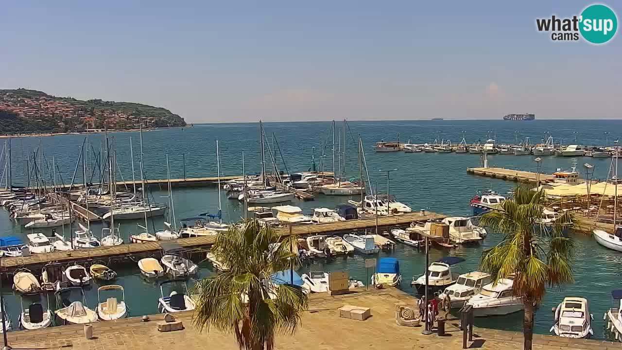 Web kamera Koper – marina i promenada – hotel Grand Koper