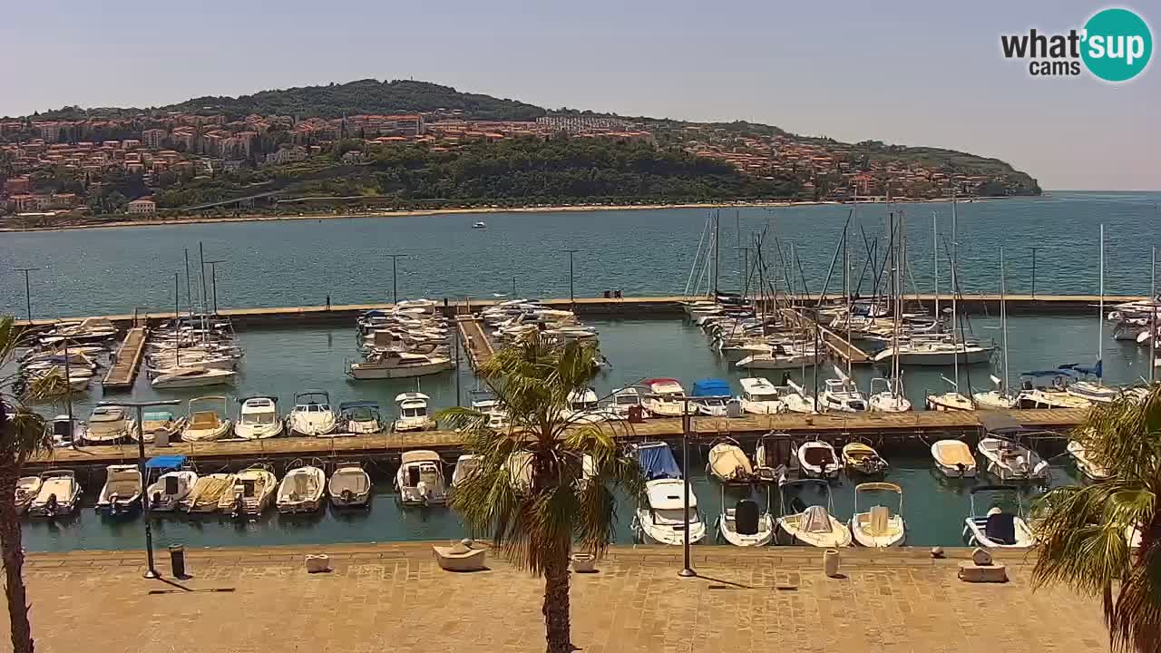 Spletna kamera Koper – Panorama na marino in promenado s Hotela Grand Koper