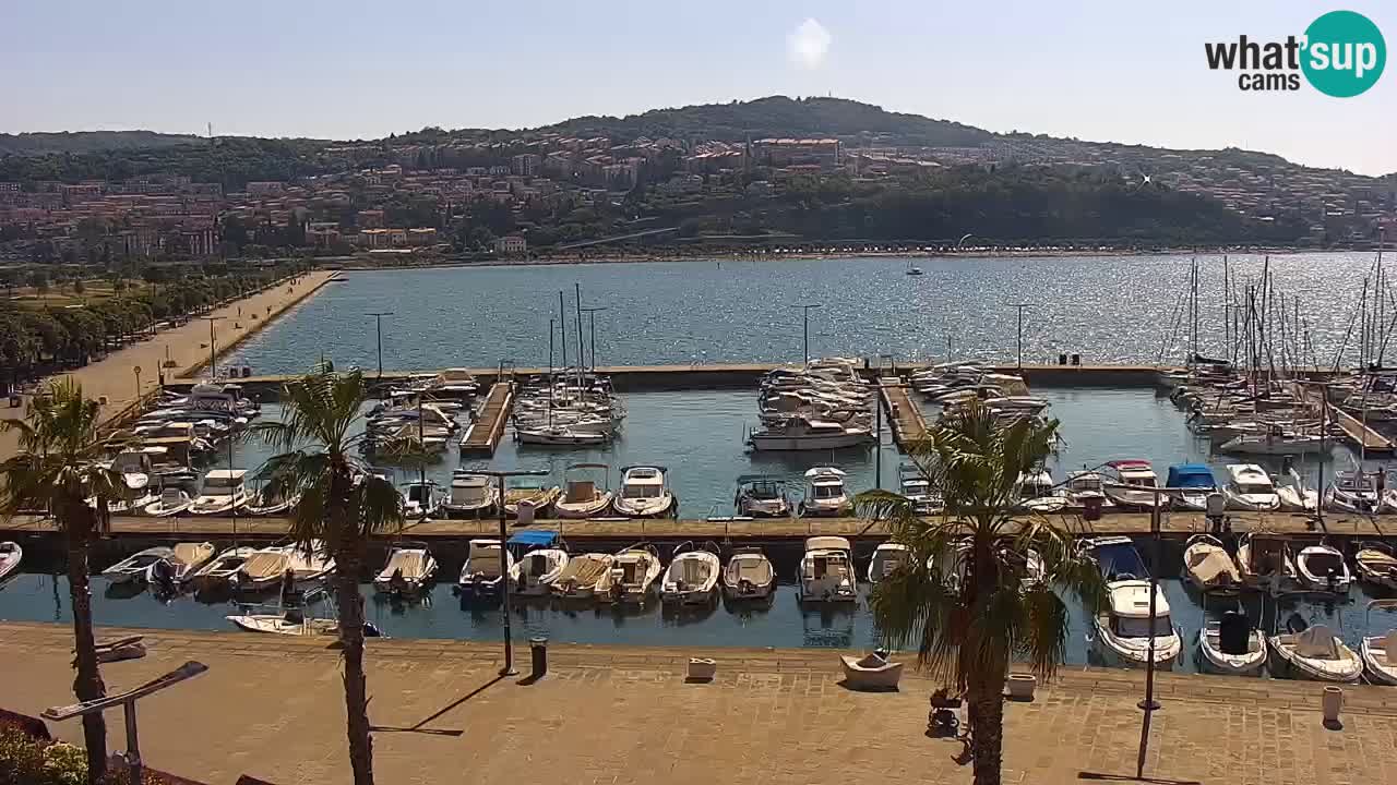 Spletna kamera Koper – Panorama na marino in promenado s Hotela Grand Koper