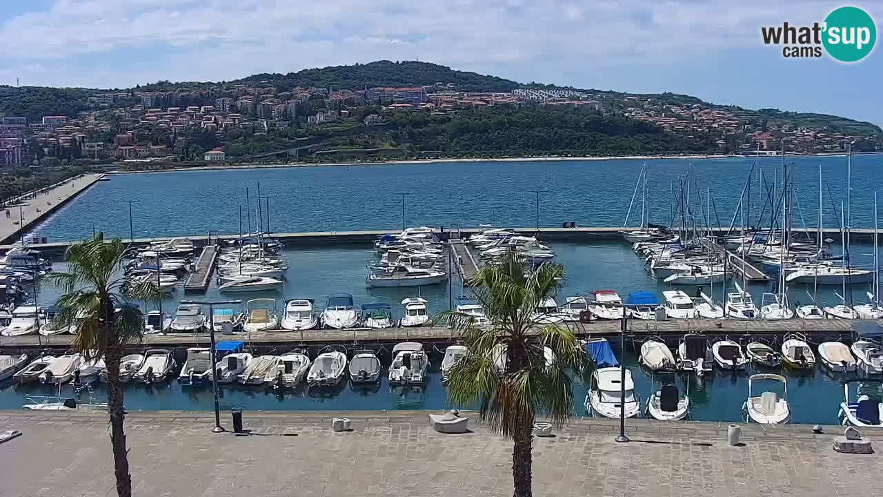 The Port of Koper live webcam – cruise and cargo port – Slovenia