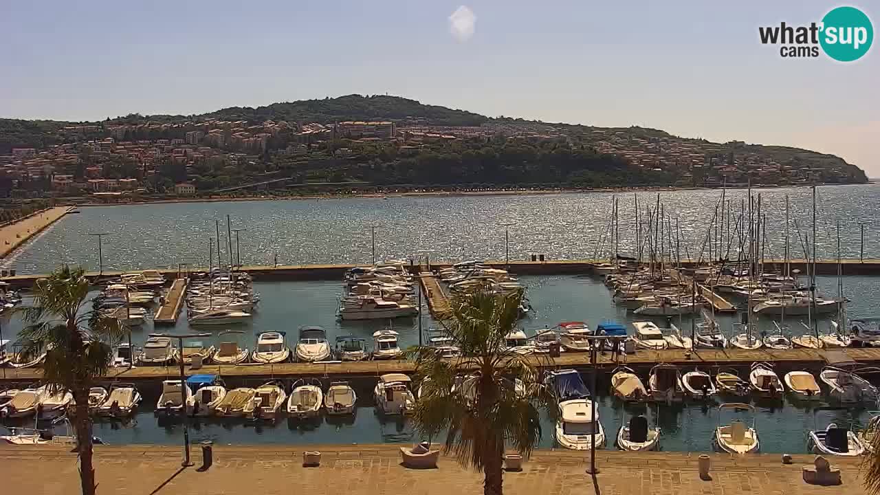 Webcam Koper – Panorama of the marina and promenade from the Grand Hotel Koper