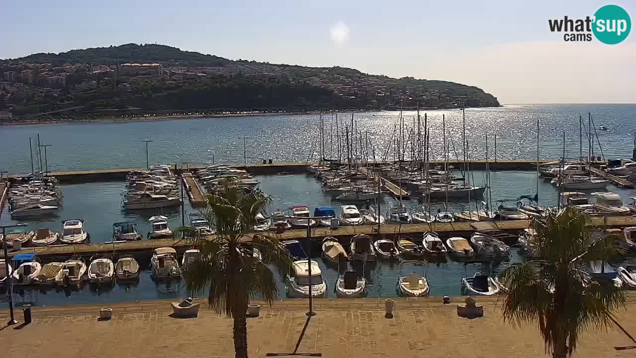 Camera en vivo Koper – puerto deportivo y paseo marítimo desde el Hotel Grand Koper