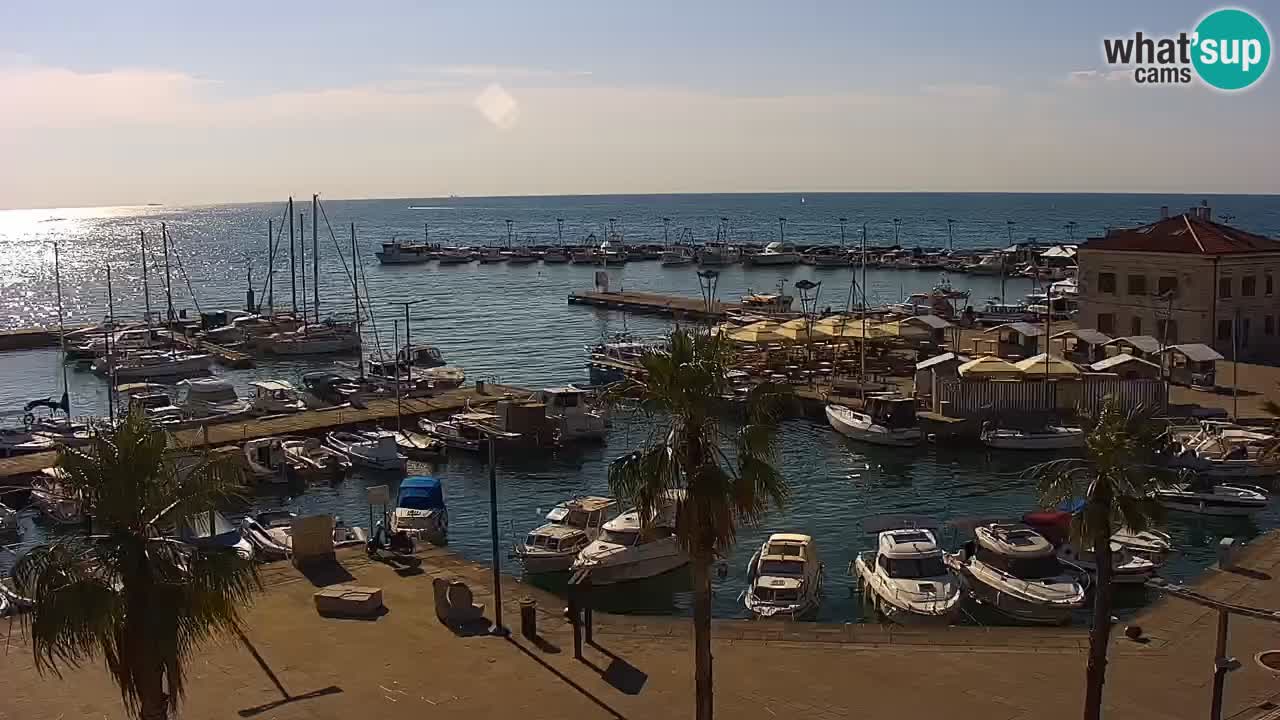 Der Hafen von Koper Live-Webcam – Kreuzfahrt- und Frachthafen – Slowenien