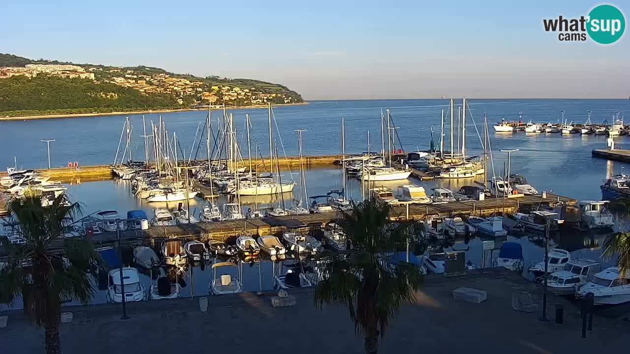 Spletna kamera Koper – Panorama na marino in promenado s Hotela Grand Koper