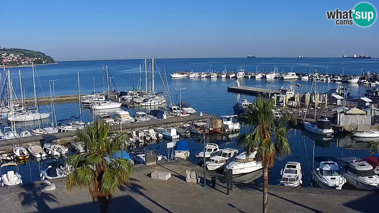 Webcam Koper – Panorama of the marina and promenade from the Grand Hotel Koper