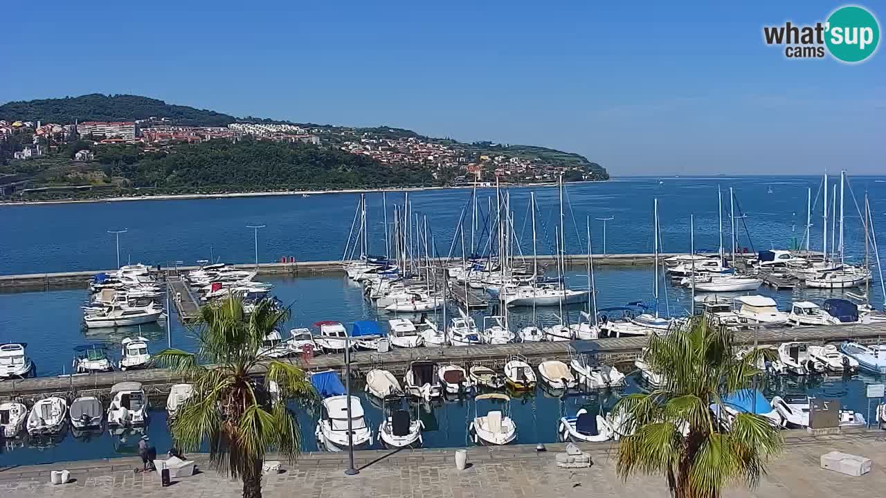 Spletna kamera Koper – Panorama na marino in promenado s Hotela Grand Koper