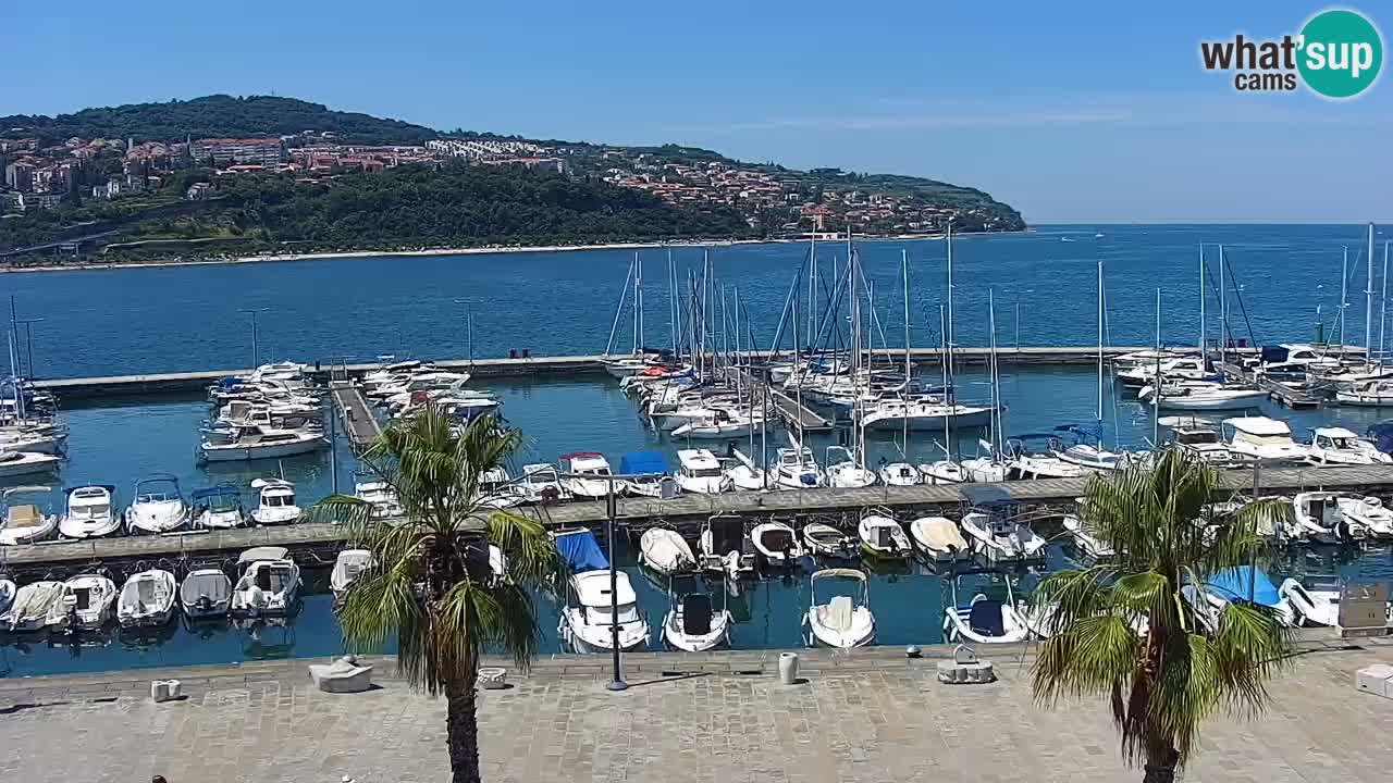 Spletna kamera Koper – Panorama na marino in promenado s Hotela Grand Koper