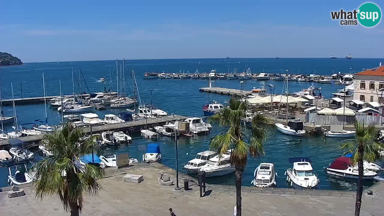 Spletna kamera Koper – Panorama na marino in promenado s Hotela Grand Koper