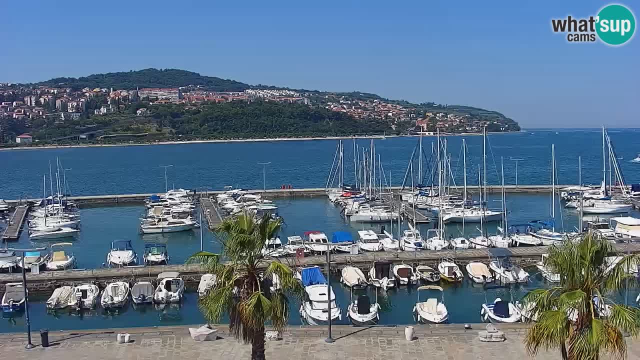 Webcam Koper – Panorama of the marina and promenade from the Grand Hotel Koper