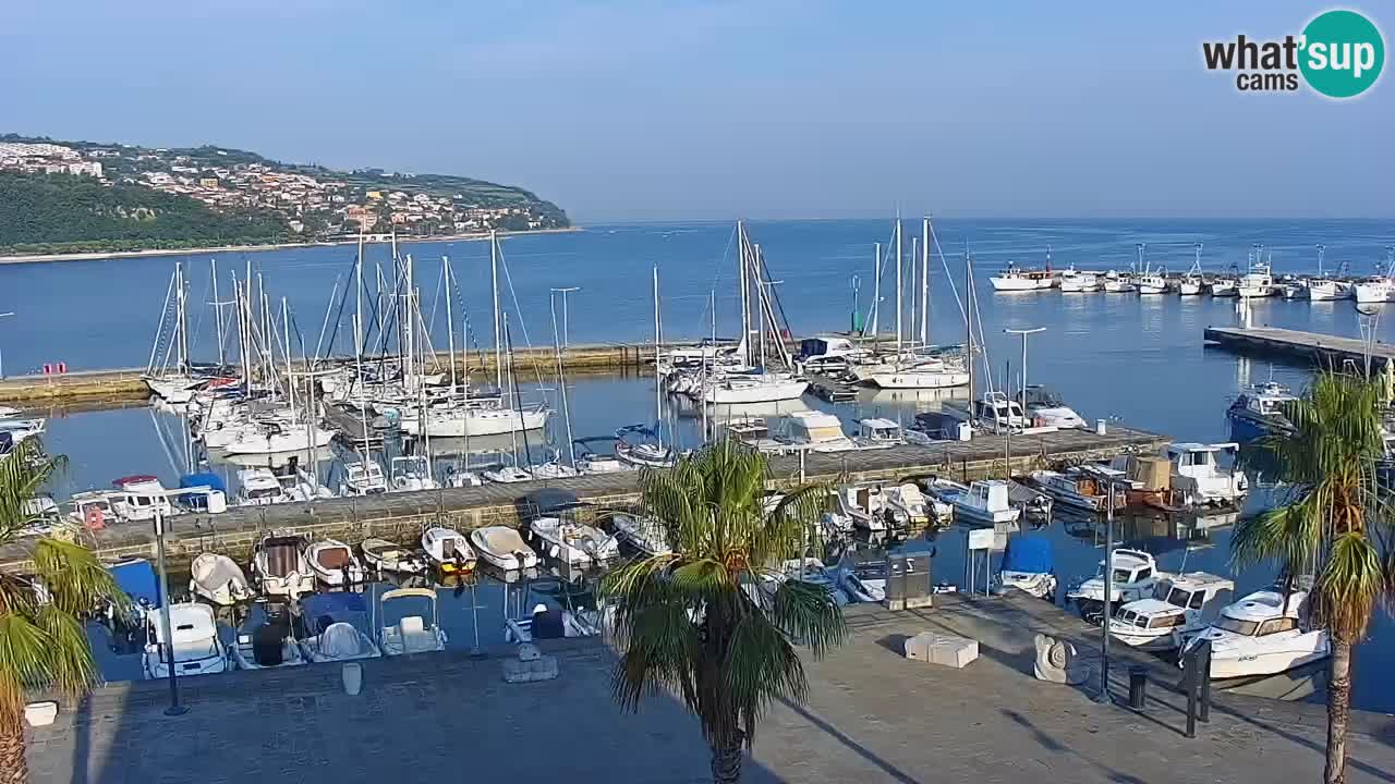 Web kamera Koper – marina i promenada – hotel Grand Koper