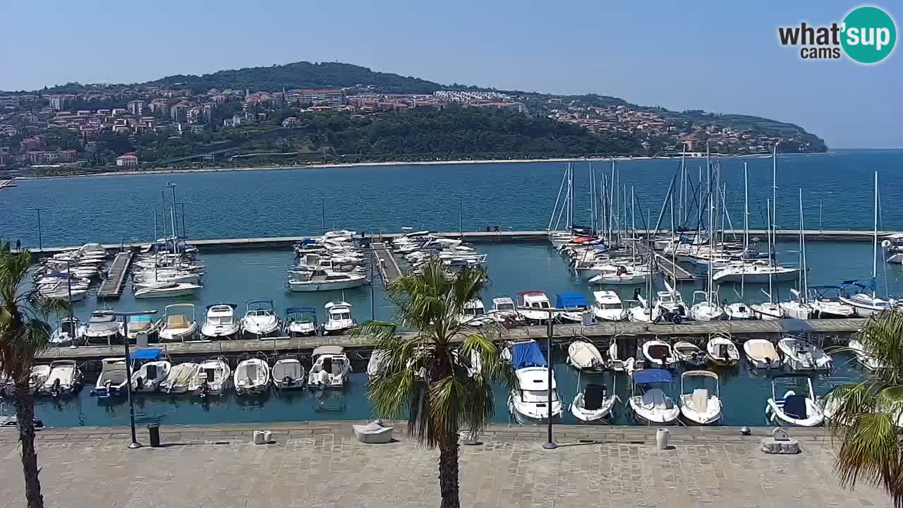 Spletna kamera Koper – Panorama na marino in promenado s Hotela Grand Koper