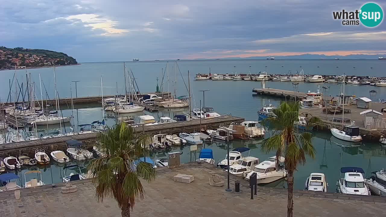 Web kamera Koper – marina i promenada – hotel Grand Koper