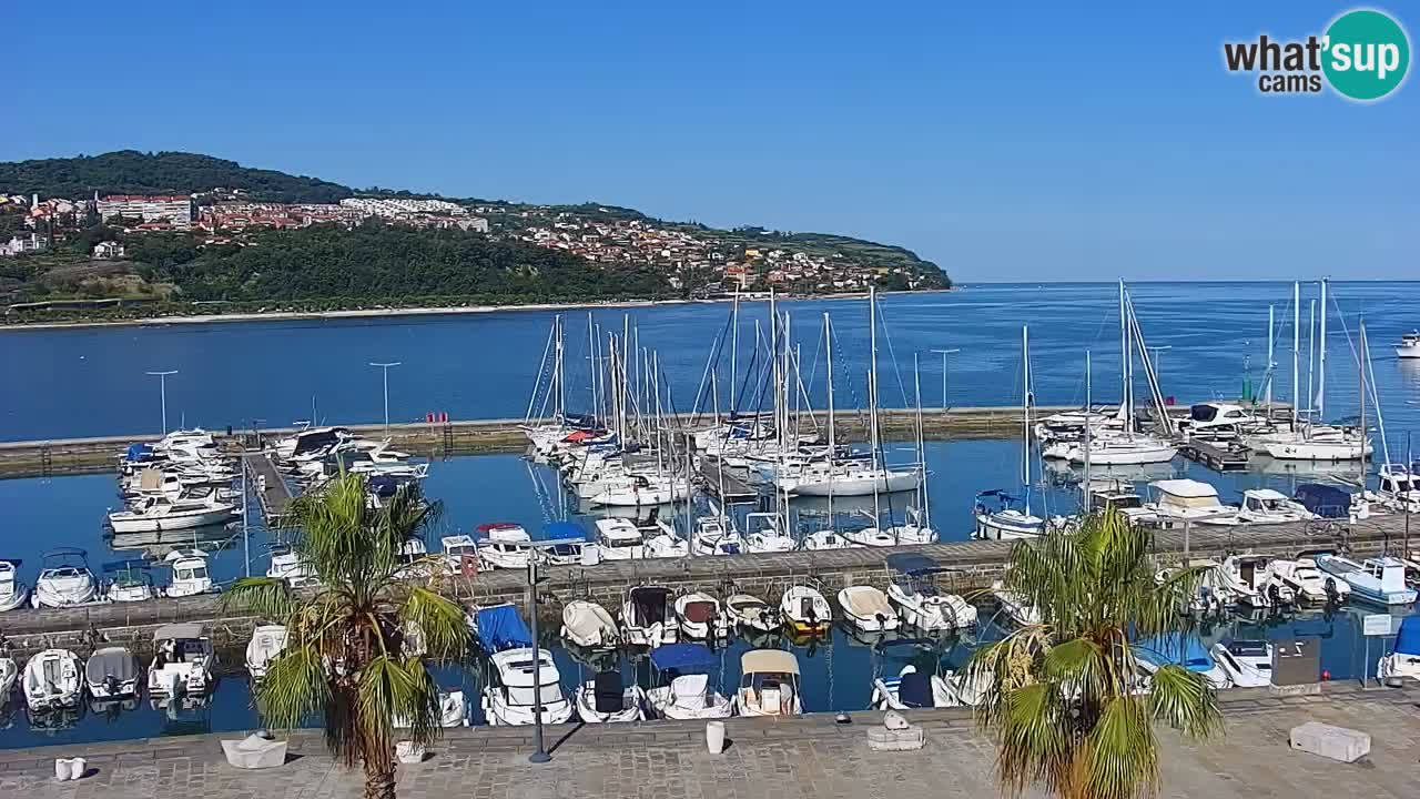 Web kamera Koper – marina i promenada – hotel Grand Koper