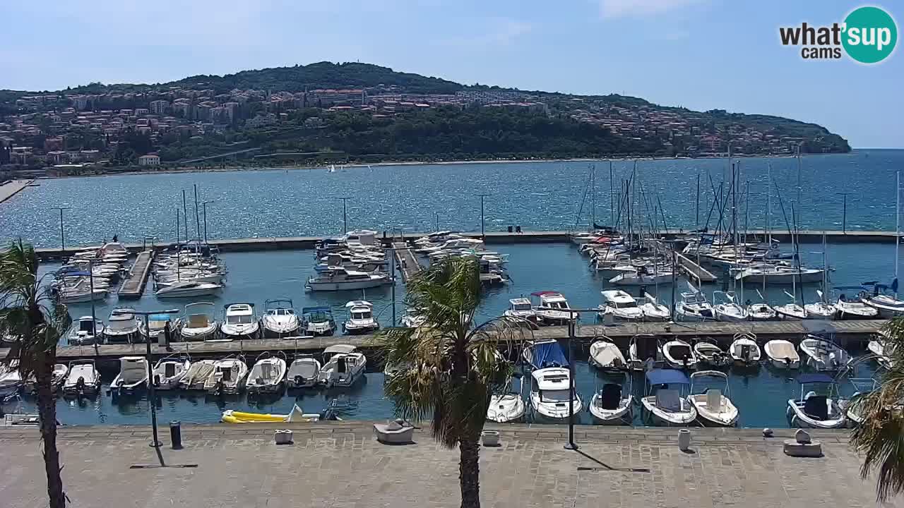 Camera en vivo Koper – puerto deportivo y paseo marítimo desde el Hotel Grand Koper