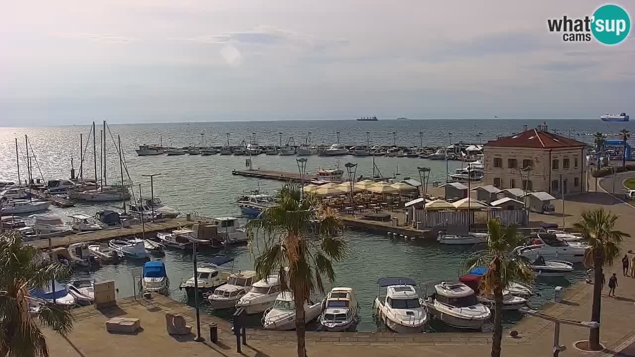Spletna kamera Koper – Panorama na marino in promenado s Hotela Grand Koper
