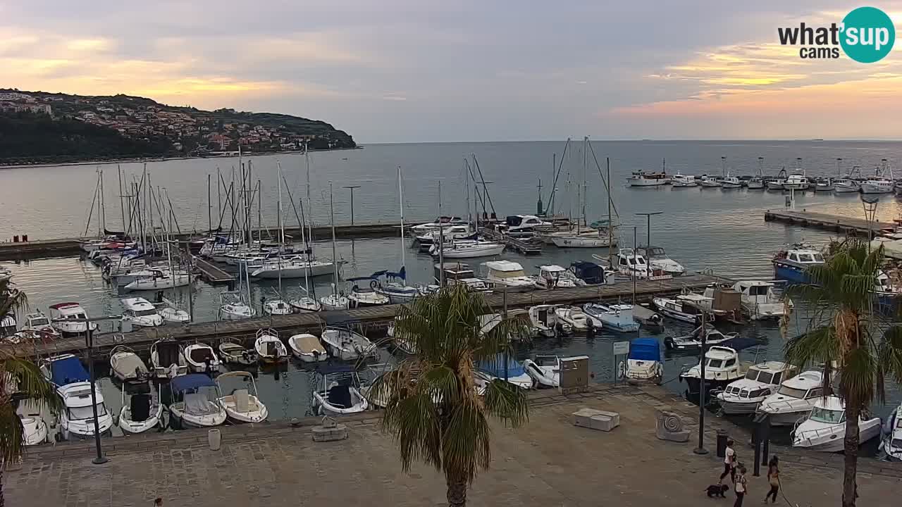 Spletna kamera Koper – Panorama na marino in promenado s Hotela Grand Koper