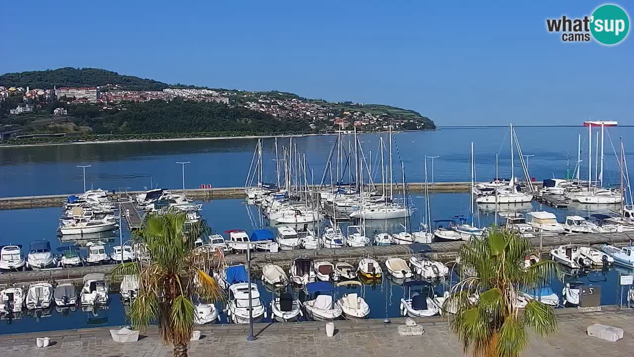 Spletna kamera Koper – Panorama na marino in promenado s Hotela Grand Koper