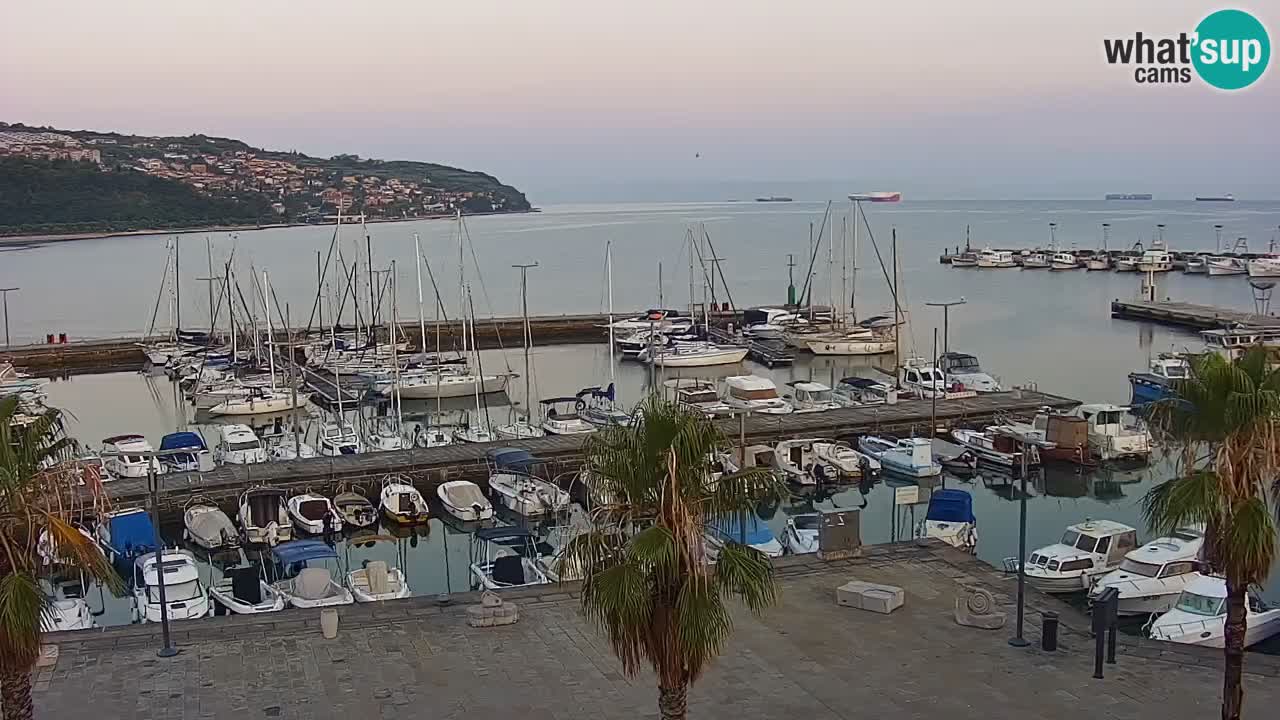 Spletna kamera Koper – Panorama na marino in promenado s Hotela Grand Koper