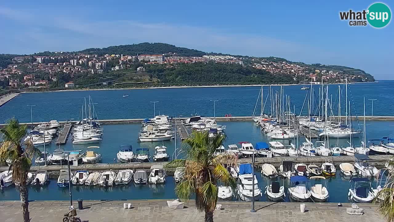 Webcam Koper – Panorama of the marina and promenade from the Grand Hotel Koper