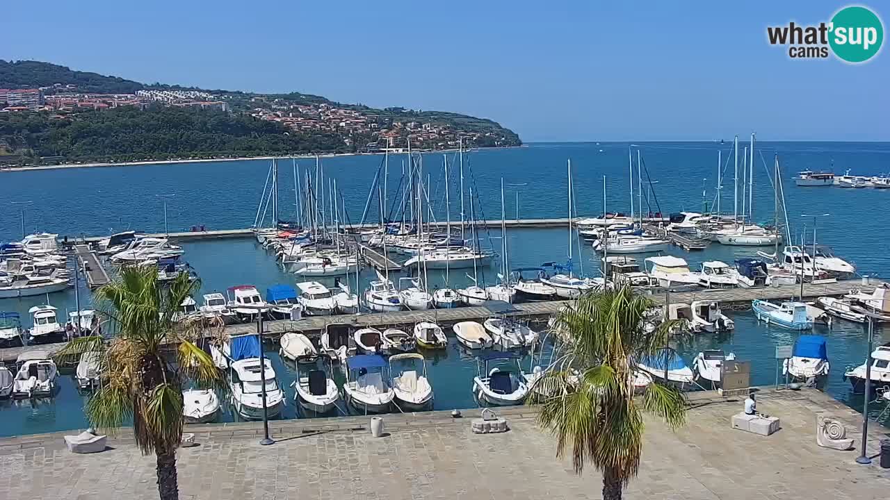 Webcam Koper – Panorama of the marina and promenade from the Grand Hotel Koper