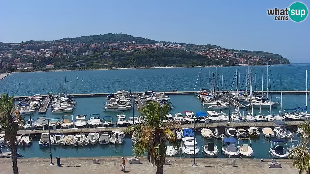 Webcam Koper – Panorama of the marina and promenade from the Grand Hotel Koper
